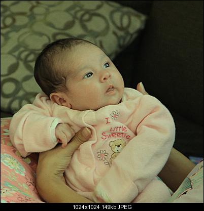 Click image for larger version

Name:	BabyShoot1.jpg
Views:	143
Size:	149.4 KB
ID:	10482
