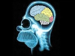 Name:  CheckBrain.gif
Views: 471
Size:  37.0 KB