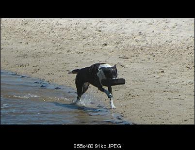Click image for larger version

Name:	Vegasplay.jpg
Views:	454
Size:	91.4 KB
ID:	11381