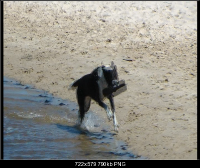 Click image for larger version

Name:	SHOWPROB clip.png
Views:	205
Size:	790.0 KB
ID:	11423
