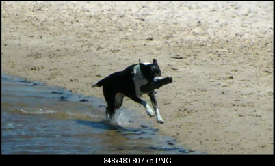 Click image for larger version

Name:	vlcsnap-2012-03-12-15h44m28s216__wide.png
Views:	272
Size:	806.7 KB
ID:	11427