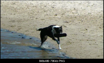Click image for larger version

Name:	vlcsnap-2012-03-13-02h54m58s115_2wide.png
Views:	190
Size:	796.4 KB
ID:	11429