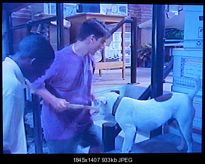 Click image for larger version

Name:	DSC00962.jpg
Views:	431
Size:	932.6 KB
ID:	11540