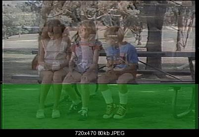 Click image for larger version

Name:	frame 0, original.jpg
Views:	266
Size:	80.0 KB
ID:	11645