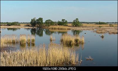 Click image for larger version

Name:	sample.jpg
Views:	755
Size:	295.3 KB
ID:	12245