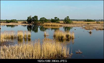 Click image for larger version

Name:	filtered.jpg
Views:	614
Size:	396.3 KB
ID:	12246