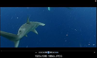 Click image for larger version

Name:	Before.jpg
Views:	317
Size:	188.3 KB
ID:	1242