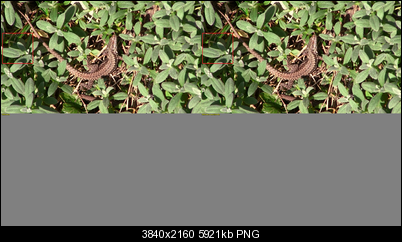 Click image for larger version

Name:	big.png
Views:	729
Size:	5.78 MB
ID:	14946