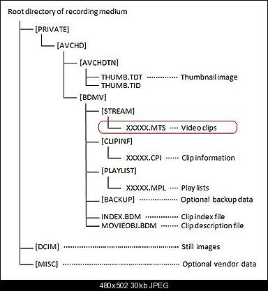 Click image for larger version

Name:	avchd_file_structure.jpg
Views:	8156
Size:	29.7 KB
ID:	16643