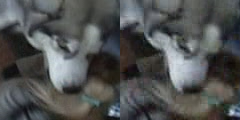Name:  sbs.png
Views: 596
Size:  72.2 KB