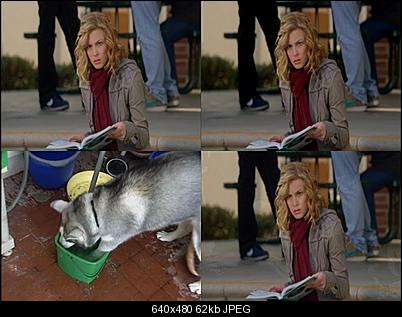 Click image for larger version

Name:	median.jpg
Views:	209
Size:	62.2 KB
ID:	17088