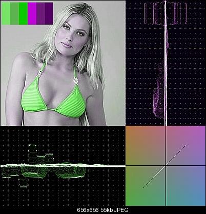 Click image for larger version

Name:	hue.jpg
Views:	1769
Size:	55.5 KB
ID:	18175