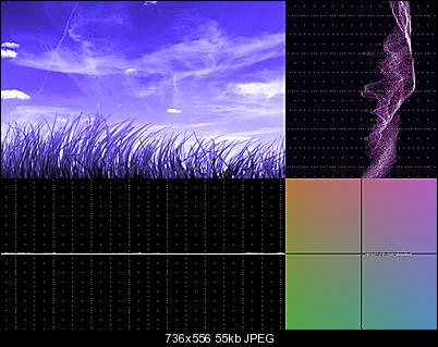 Click image for larger version

Name:	violet.jpg
Views:	1049
Size:	54.6 KB
ID:	18261