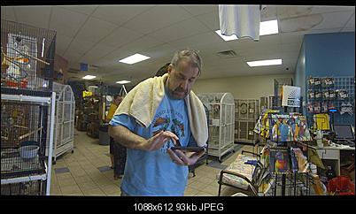 Click image for larger version

Name:	fish-Deform.jpg
Views:	845
Size:	93.1 KB
ID:	18864