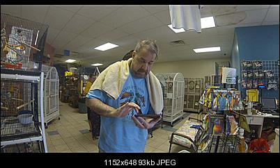 Click image for larger version

Name:	fish-original.jpg
Views:	798
Size:	93.1 KB
ID:	18865