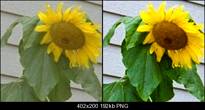 Click image for larger version

Name:	flower.png
Views:	1060
Size:	191.5 KB
ID:	18976