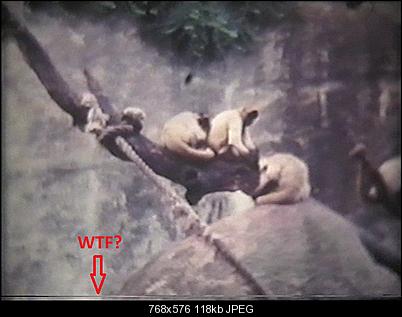 Click image for larger version

Name:	vlcsnap-2013-08-03-21h02m18s93.jpg
Views:	176
Size:	118.0 KB
ID:	19179