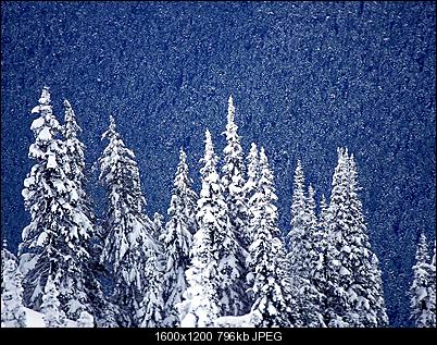 Click image for larger version

Name:	snowing_forest_1600x1200-1.jpg
Views:	476
Size:	795.6 KB
ID:	19753