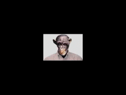 Name:  Untitled2.gif
Views: 645
Size:  726.0 KB