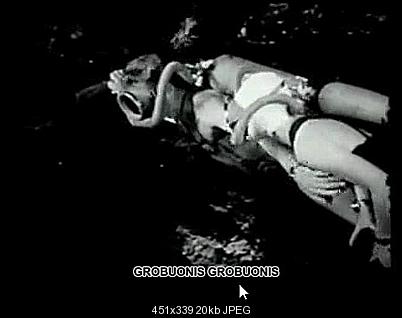 Click image for larger version

Name:	ScreenHunter_47 Dec. 28 23.31.jpg
Views:	1854
Size:	20.5 KB
ID:	22406