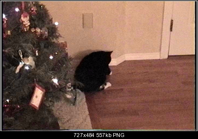 Click image for larger version

Name:	cat.PNG
Views:	325
Size:	557.2 KB
ID:	22488