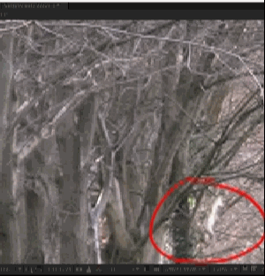 Name:  bob.gif
Views: 1659
Size:  335.9 KB