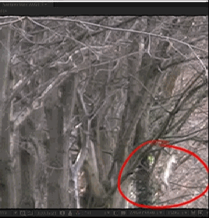 Name:  qtgmc.gif
Views: 1692
Size:  109.6 KB