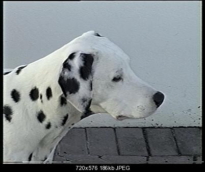 Click image for larger version

Name:	Oh Dear2.jpg
Views:	667
Size:	186.1 KB
ID:	22906