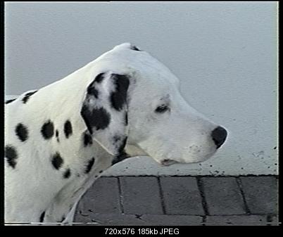 Click image for larger version

Name:	Oh Dear1.jpg
Views:	694
Size:	184.9 KB
ID:	22907
