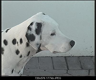Click image for larger version

Name:	Snip4.jpg
Views:	626
Size:	177.0 KB
ID:	22939