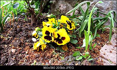 Click image for larger version

Name:	original expanded levels.jpg
Views:	558
Size:	205.4 KB
ID:	24524