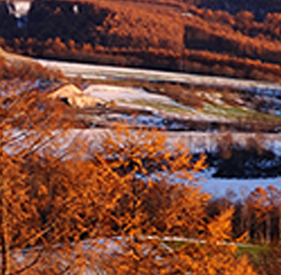 Name:  LandscapeCompare-HD720.png
Views: 2909
Size:  878.2 KB