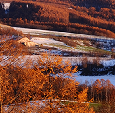 Name:  LandscapeCompare-2k.png
Views: 2976
Size:  910.6 KB