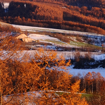Name:  LandscapeCompare-4k.png
Views: 3054
Size:  975.0 KB