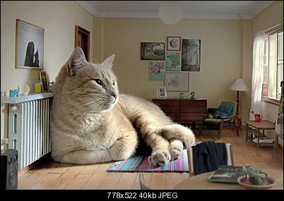 Click image for larger version

Name:	GIANT.JPG
Views:	662
Size:	40.3 KB
ID:	24774