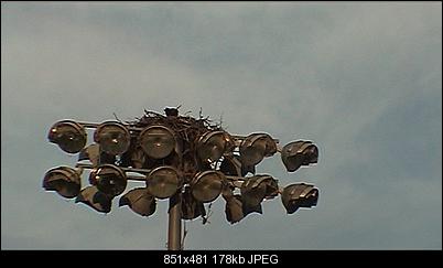 Click image for larger version

Name:	tele less zoom.jpg
Views:	1279
Size:	177.9 KB
ID:	25044