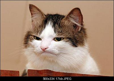Click image for larger version

Name:	disapp.jpg
Views:	175
Size:	16.9 KB
ID:	25114