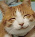 Name:  smiling-cat.jpg
Views: 757
Size:  3.2 KB