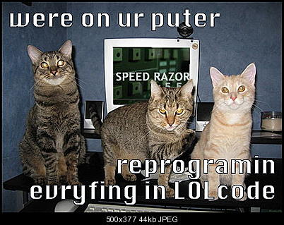 Click image for larger version

Name:	GGCATS.JPG
Views:	273
Size:	44.2 KB
ID:	25242
