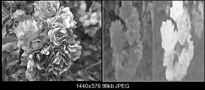 Click image for larger version

Name:	even.jpg
Views:	509
Size:	98.8 KB
ID:	25314
