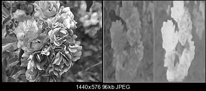 Click image for larger version

Name:	odd.jpg
Views:	325
Size:	95.7 KB
ID:	25315