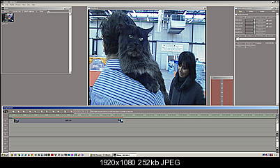 Click image for larger version

Name:	CATWXP.JPG
Views:	198
Size:	251.8 KB
ID:	25418