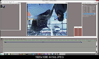 Click image for larger version

Name:	catwin8.jpg
Views:	185
Size:	441.0 KB
ID:	25419