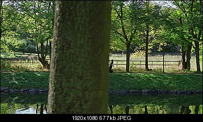 Click image for larger version

Name:	Hybrid-DivX-HEVC-2x.jpg
Views:	667
Size:	676.8 KB
ID:	25571