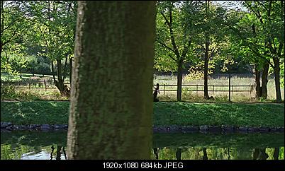 Click image for larger version

Name:	DivX-Con-HEVC-1X-FPS.jpg
Views:	611
Size:	683.9 KB
ID:	25572