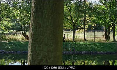 Click image for larger version

Name:	x265-stup.jpg
Views:	404
Size:	595.8 KB
ID:	25583