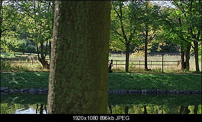 Click image for larger version

Name:	orig-stup.jpg
Views:	401
Size:	895.6 KB
ID:	25584