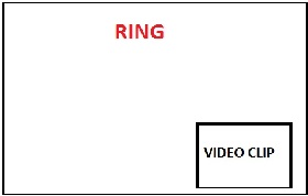Name:  ring.jpg
Views: 8431
Size:  7.4 KB