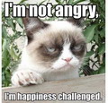 Name:  Angry-Cat.jpg
Views: 896
Size:  8.8 KB