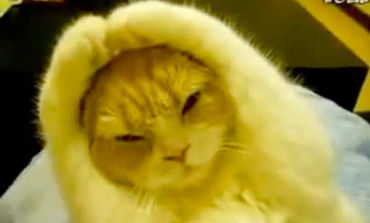 Name:  2711636_370.jpg
Views: 1135
Size:  13.6 KB